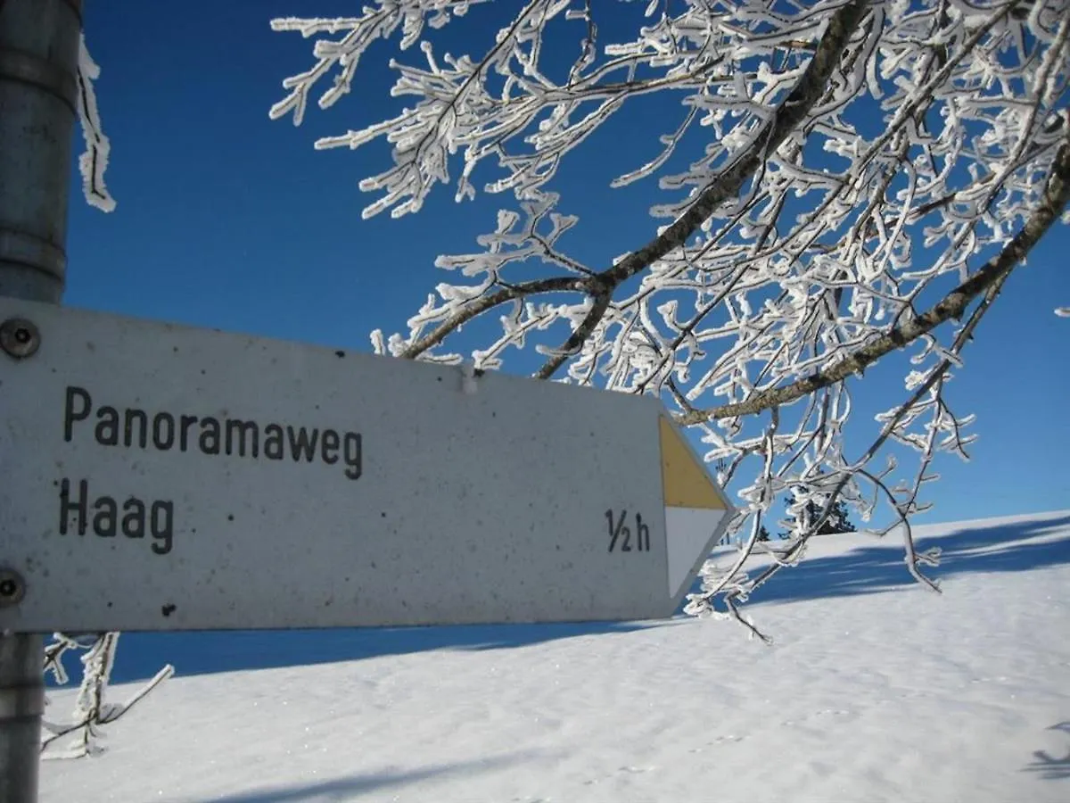 Haus Panorama Apartment Oy-Mittelberg